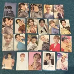 ウジ タレントカード