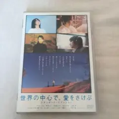 世界の中心で、愛をさけぶ DVD