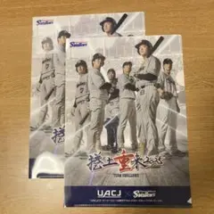 スワローズ　クリアファイル2冊セット