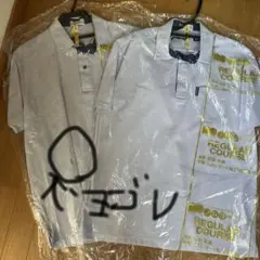 Item thumbnail for item b4dffc62-e39e-46eb-8115-f69991c9aafc