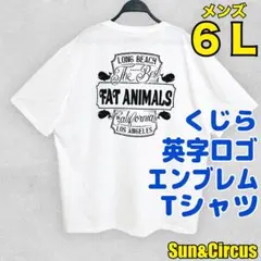 ゴンゴン様 リクエスト 2点 まとめ商品