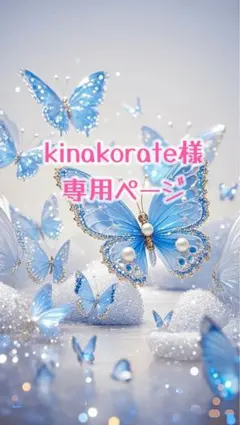 kinakorate様専用ページ