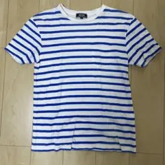 BEAMS ストライプ Tシャツ Mサイズ