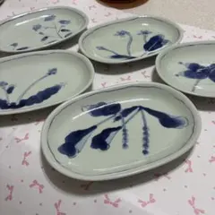 有田焼　泉窯　染付山野草絵変わり　楕円皿　中皿　焼き物皿　5客