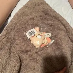 ちいかわ うさぎだらけくじ E賞 ぬいぐるみバッジ ぐ〜