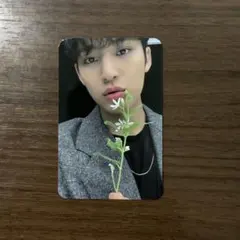 SEVENTEEN セブチ ヨントン トレカ ミンギュ