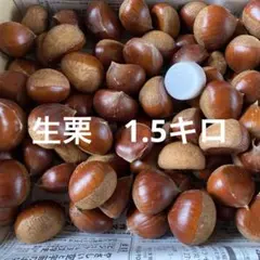 のいやん様 リクエスト 2点 まとめ商品