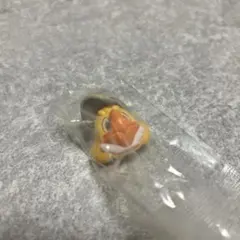 プロ野球マスコット めじるしアクセサリー　ハリーホーク