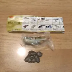 ユージン　原色淡水魚図鑑Ⅱ　クサフグ　新品未開封