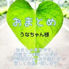 5/15　うなちゃん様 リクエスト 4点 まとめ商品
