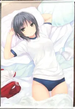 青山澄香 紺ブルマVer.(珈琲貴族) 等身大タペストリー 青山澄香 紺ブルマVer.(珈琲貴族) 等身大タペストリー - メルカリ