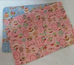 Item thumbnail for item 040adc70-72bd-424b-ba8e-3f2a8a09fd95