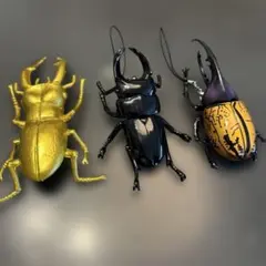 Item thumbnail for item 29a3e34d-e764-4087-8c7e-a964049db447