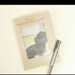 Item thumbnail for item 0ae954ec-b8b4-4c01-bd0c-8ac80e2d0338