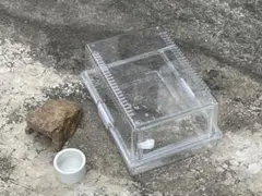 2026年最新】ケージ 中古 爬虫類の人気アイテム - メルカリ