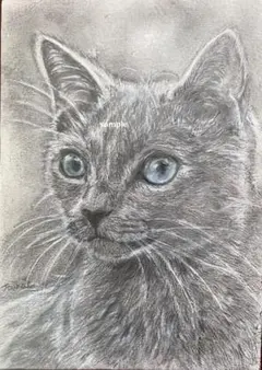 猫❤️ネコ ねこ 原画 鉛筆画 色鉛筆画 絵画 手描き イラスト - メルカリ