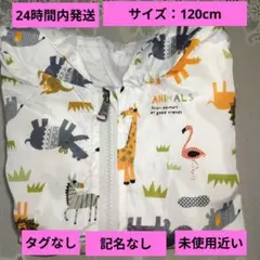 Item thumbnail for item b0be3dc4-e482-4895-9604-367de6608d55