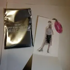 TWICE MISAMO 追加公演ver ランダムミニアクスタチャーム モモ