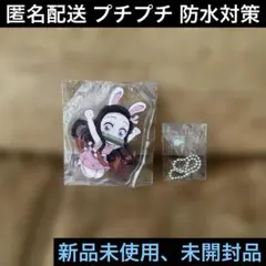 竈門禰豆子♦︎ピョン子♦︎アクリルチャーム2♦︎劇場版鬼滅の刃無限列車編♦︎アクキー