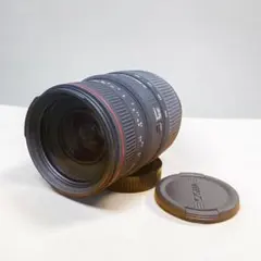 슈퍼 줌 SIGMA APO DG 70-300mm F4-5.6 니콘용