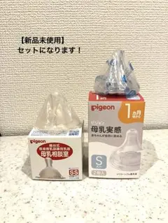 Item thumbnail for item b8a19be1-dc14-4ed5-9e1f-546408e204bd