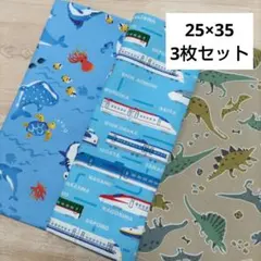 H5☆ランチョンマット 25×35 ハンドメイド ランチクロス 給食ナフキン