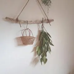 流木インテリアハンガーno.86