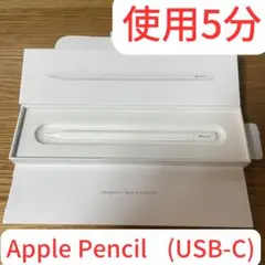 【純正 美品】Apple Pencil (USB-C) 開封済み