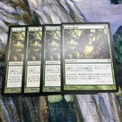 MTG 自然の要求　日本語　4枚