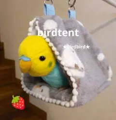 Item thumbnail for item 4d03fe10-0e34-47a6-9643-420472ffeda6