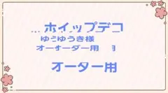 【ハンドメイド】ゆうき様 ホイップデコ オーダー用