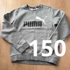 【美品】150 PUMA スエット　裏起毛　グレー　トレーナー