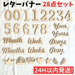 【24H発送】 28点セット ニューボーンフォト 月齢フォト
