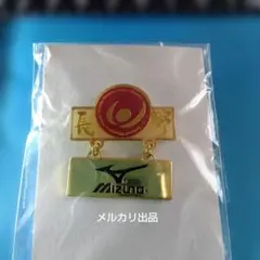 2005年 スペシャルオリンピックス 冬季長野大会 日本チ―厶 ピンバッジ