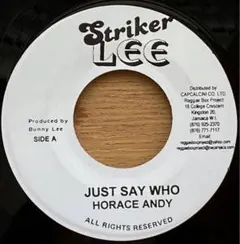 lion様 リクエスト 2点 まとめ商品