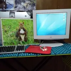 뷰티풀 굿_NEC F15T53_ 15인치 LCD