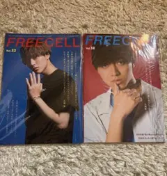【永瀬廉表紙】FREECELL2冊セットvol.32 vol.38