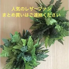 フラダンス 【レザーファーン】ブレスレット 2個セット‘