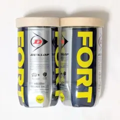 【新品未開封】ダンロップ FORT 硬式テニスボール 2個入り 2缶セット