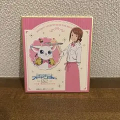 デジモン　八神ヒカリ&テイルモン　グッズまとめ売り デジモンアドベンチャー - 描き下ろし 八神ヒカリ&テイルモン