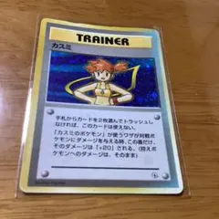 カスミ ☆ ジム拡張第1弾 リーダーズスタジアム - メルカリ