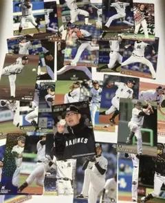 千葉ロッテマリーンズ スポーツカード