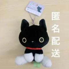 サンエックス 靴下にゃんこ ずっといっしょぬいぐるみ 靴下にゃんこ　キーホルダー