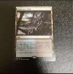 MTG 汚染された三角州　日本語版