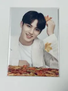 SEVENTEEN セブチ トレカ 2019 ODE to You ミンギュ