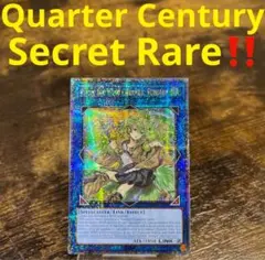 遊戯王　蒼翠の風霊使いウィン 25th 61sHfcsORBL._AC_UL210_SR210,