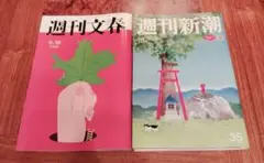 週刊誌２点セット