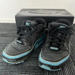 Item thumbnail for item 03c78605-a3f3-4017-ace8-b2a892539228