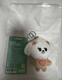 TXT★プルバトゥ★バムグッ★キーリング★初期