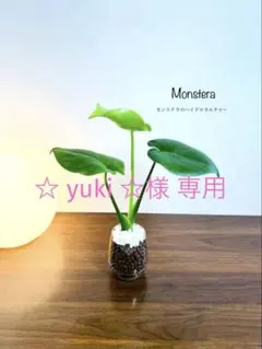 ☆ yuki ☆様 リクエスト 2点 まとめ商品